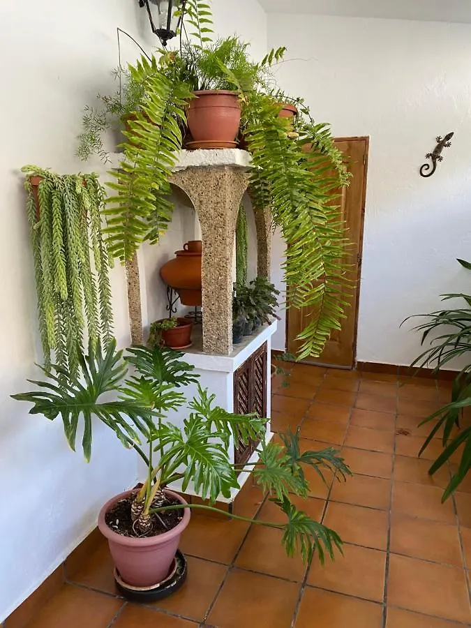 Holiday home Casa En Mogan Villa Las Burrillas
